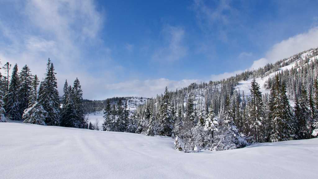 Vassfjellet in the snow