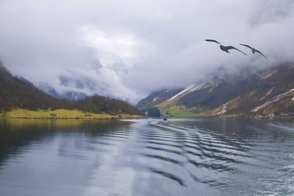 Seagoals at Nærøyfjord⁩